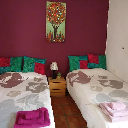 Volcanic Experience Country house